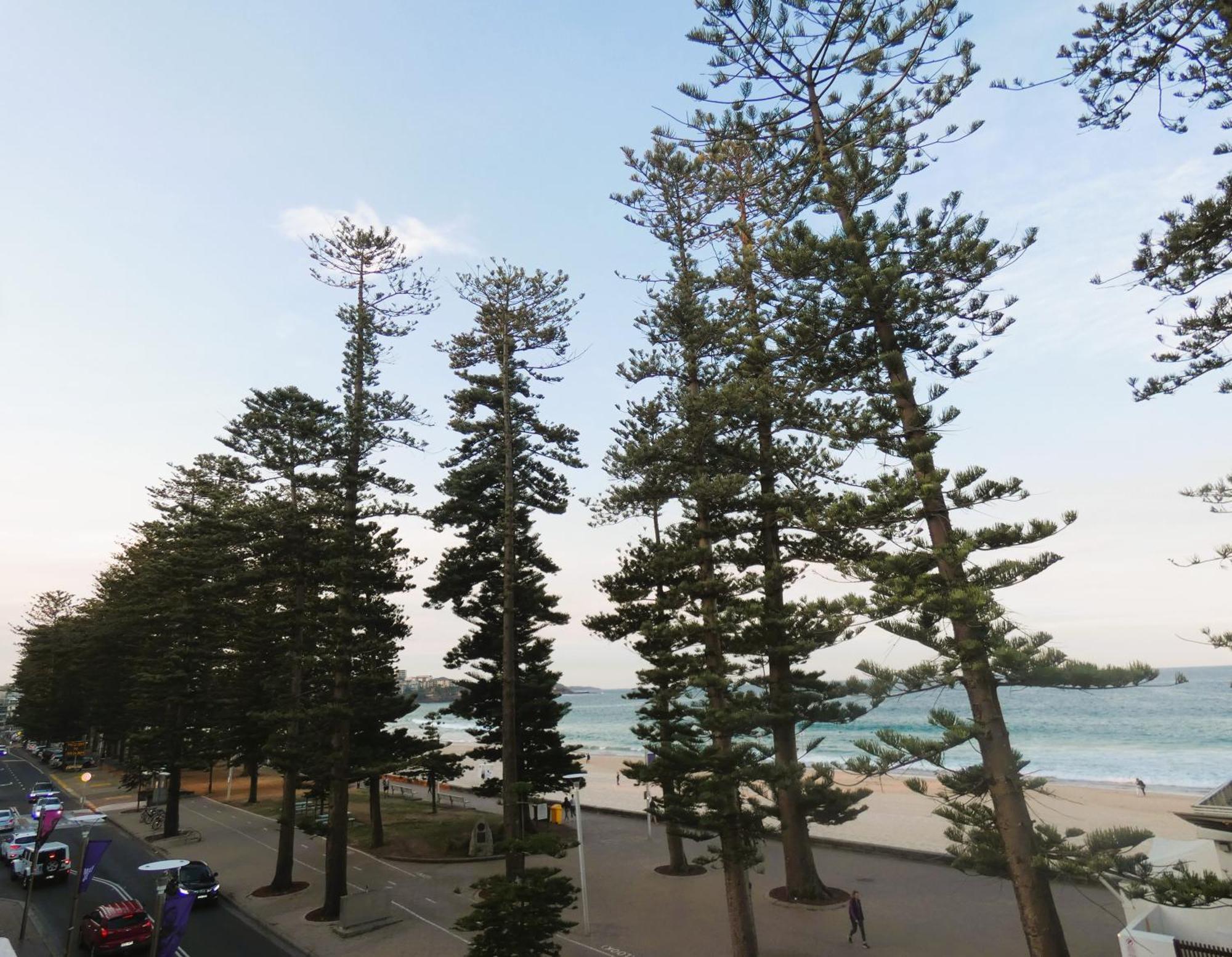 Stay At Hotel Steyne Sydney Buitenkant foto